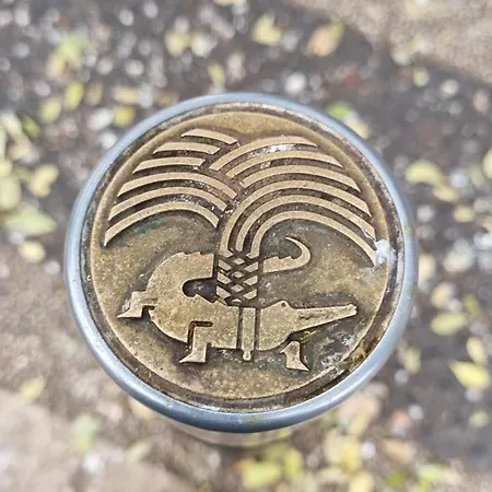 Au Coeur De La * נים